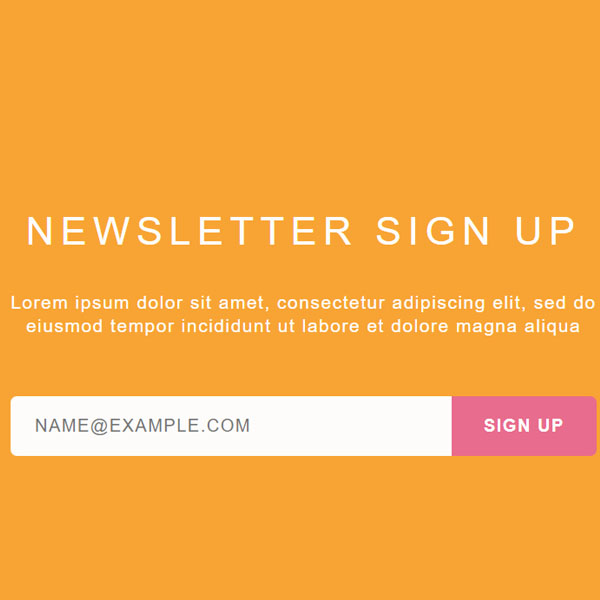 CSS Newsletter Signup Form