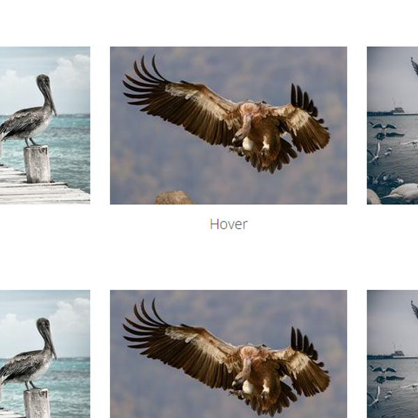 Varios CSS Hover Effects for Thumbnails