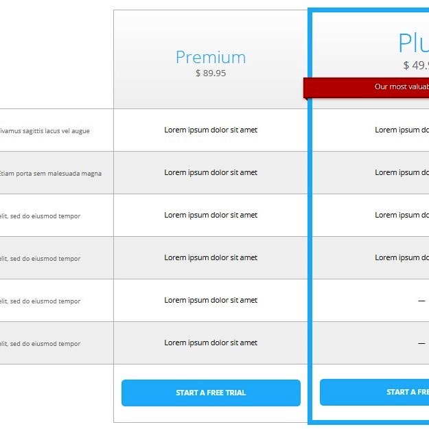 Detailed Pricing Table