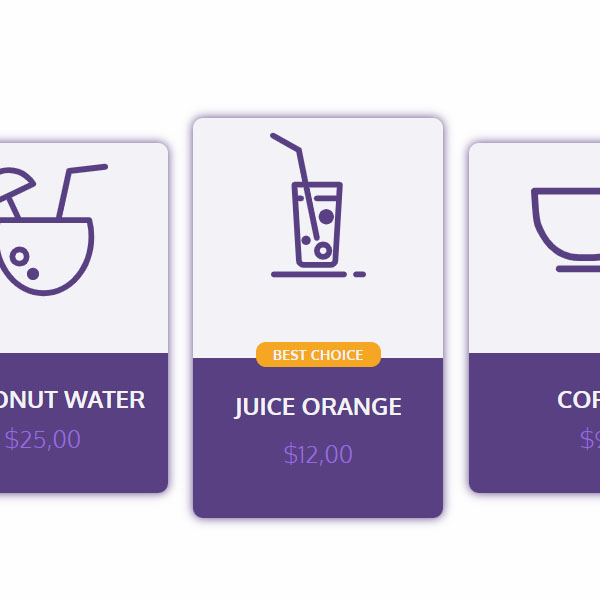 Mini Pricing Plans Code with Icons