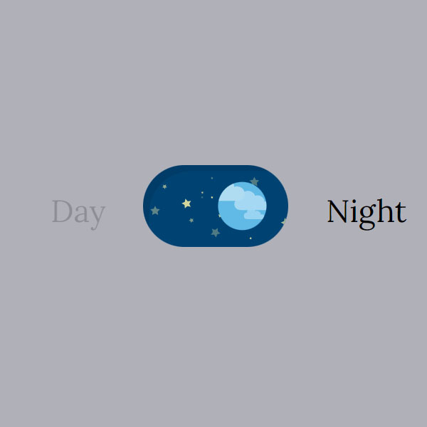 Night - Day Toggle Switch Button