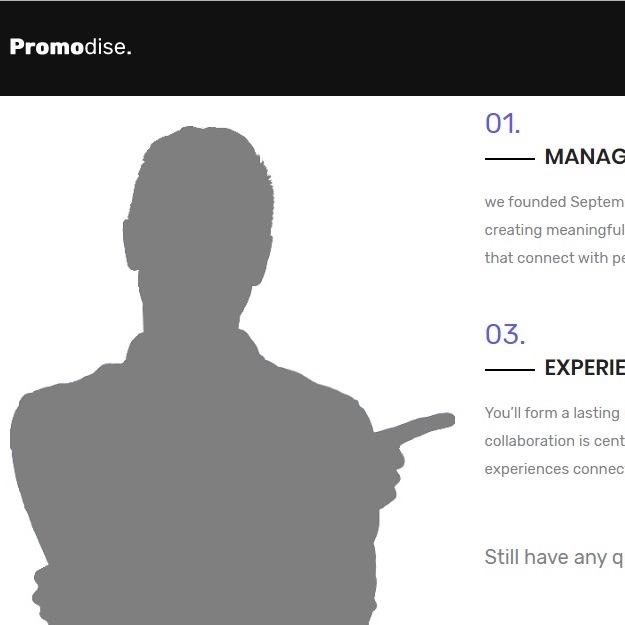 Promodise - Online Services Template