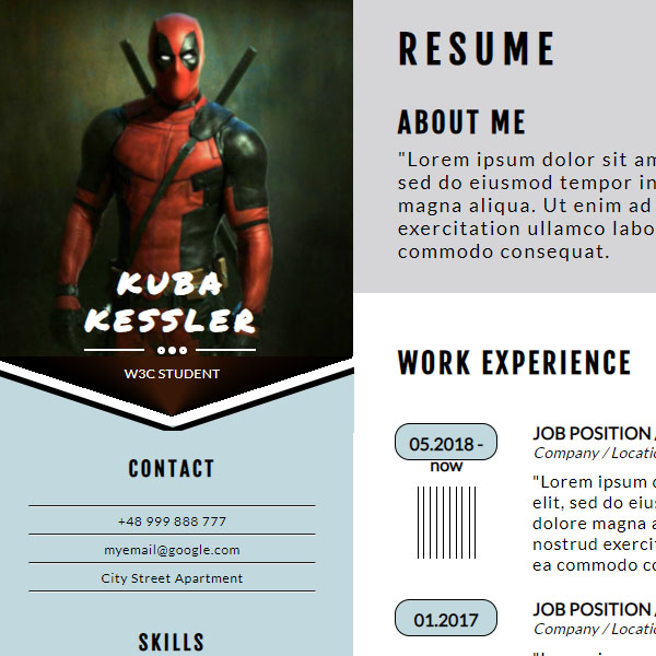 Pure CSS Simple Resume Template