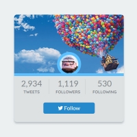 We have a thumbnail image with the profile photo section and the number of followers and followers in this post. The profile in this thumbnail has a hover . . .