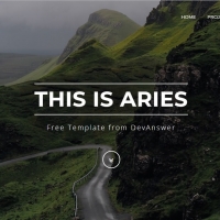 Aries is an advanced portfolio template with various pages and sections