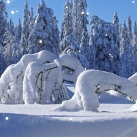 In this post we have a snowy background. It is snowing in the background. By moving the mouse on the background, snowflakes move away from the mouse.