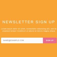CSS Newsletter Signup Form