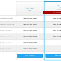A pricing plan with full details and features.