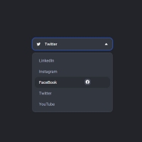 In this code we have a drop-down list. This drop-down list consists of social icons with their names. The overall theme of this drop-down list is also . . .