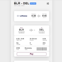 This code uses accordions to display the details of each plane ticket. You can not see it by clicking on any of them. With the opening of the accordion, . . .