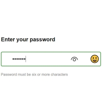 This form directs the user to change the color of the border to enter at least six characters for the password.