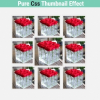 There is a grid of 9 photos that also has a thumbnail effect in Hover mode, which shows slightly larger photos in hover mode.