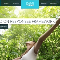 A responsive template for designing your business website.