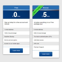 In this code, the pricing tables have a blue and gray theme. The items in the pricing table also have a gray background.