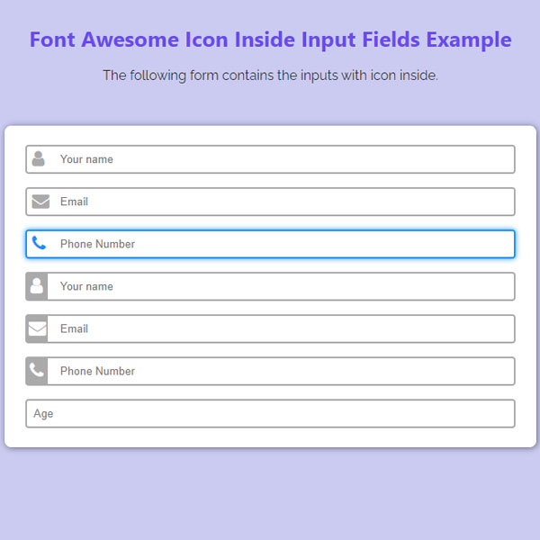 Web Form with Icons and Highlight on Focus